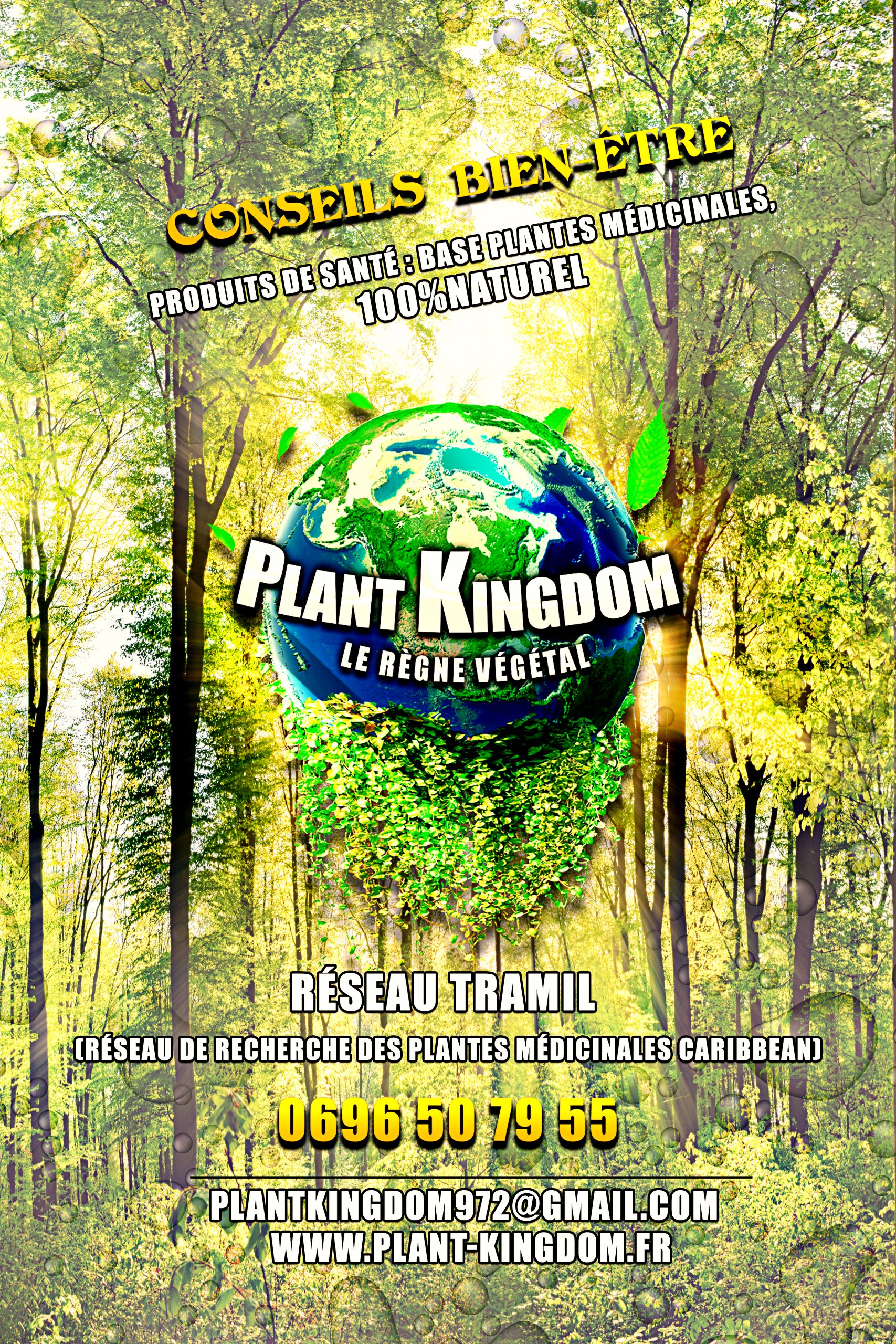 Plant kingdom