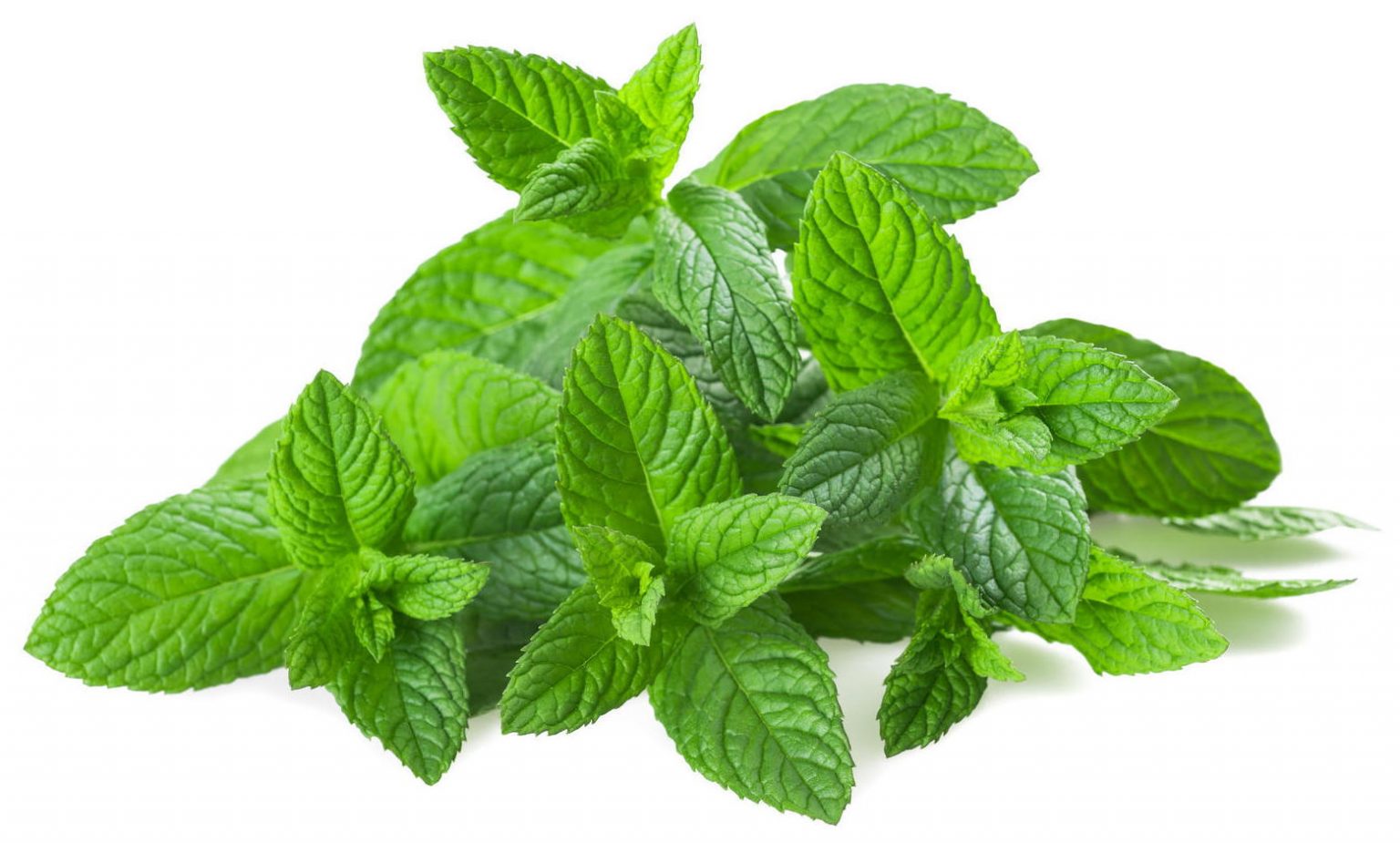 Sachet de menthe (100g) Kairoséa (kairosea.fr) Artisans et produits