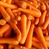 carottes espagne kairosea