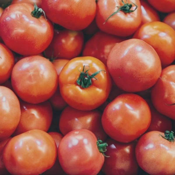tomates locales