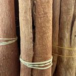 Cannelle en bâtons artisanale de Saint-Joseph (Martinique)
