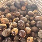 Noix de muscade artisanale d'Ajoupa-Bouillon en Martiniqu