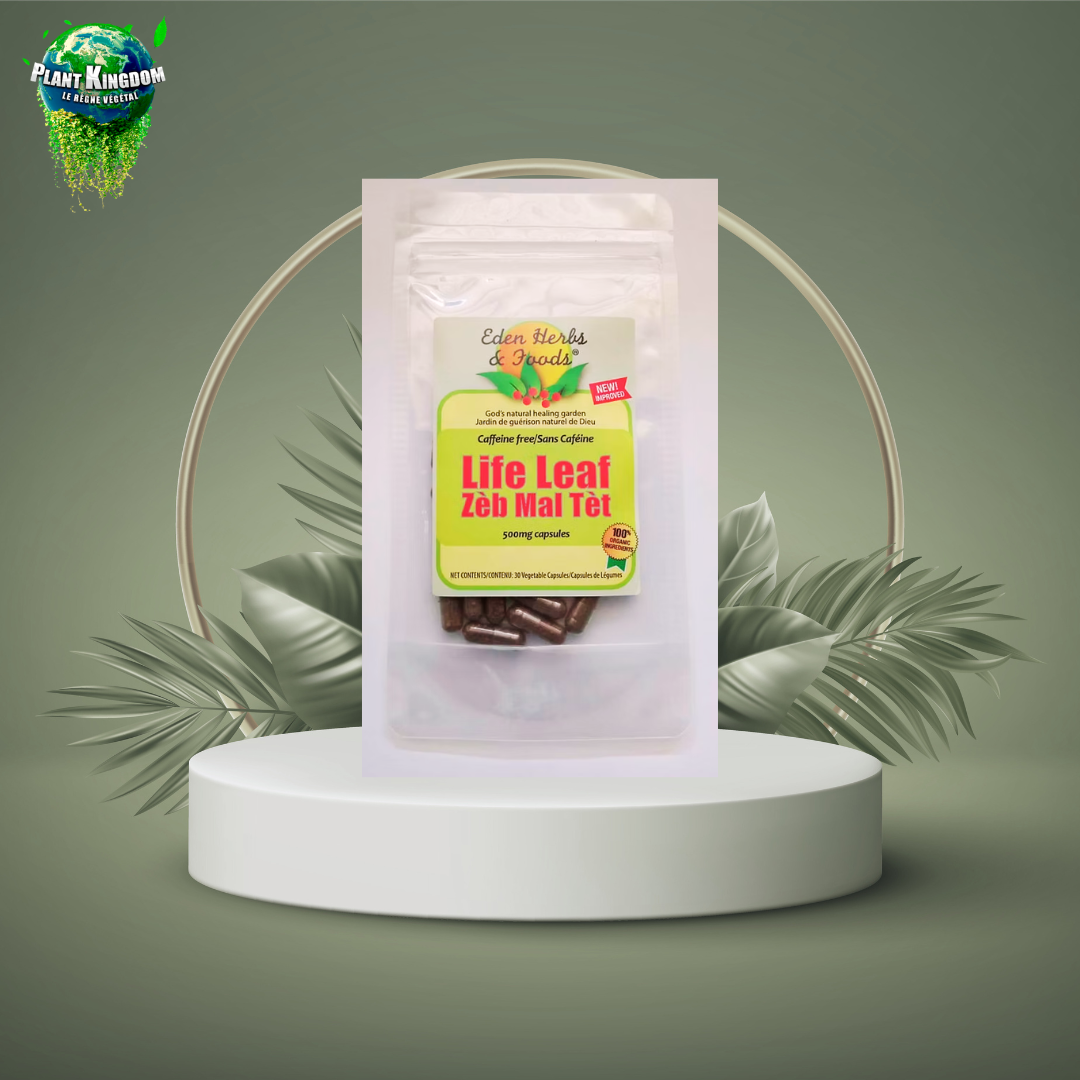 Design sans titre (2)