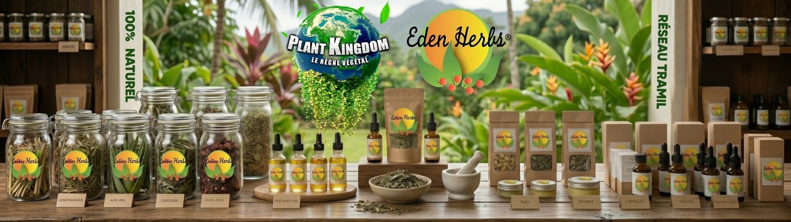 Plant kingdom Plant kingdom